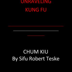 Unraveling Wing Chun - Chum Kiu